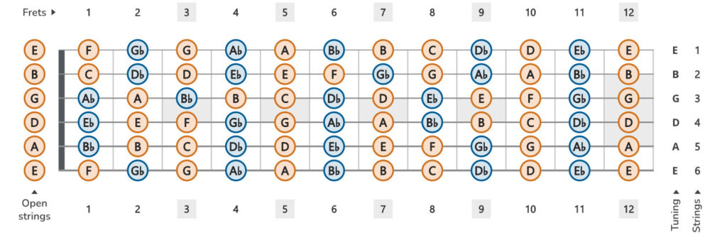 fretboard diagram showing all notes